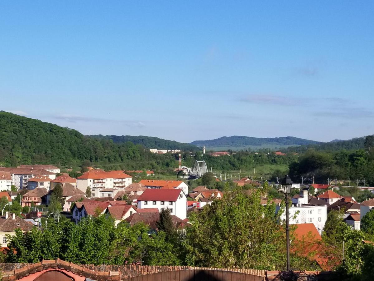 Pensiunea Lelila Inn Segesvár Kültér fotó