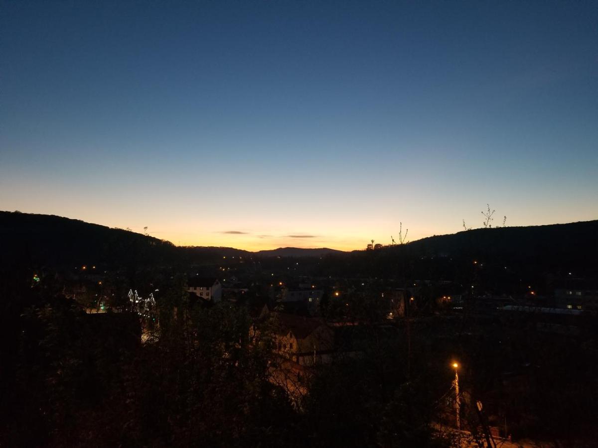 Pensiunea Lelila Inn Segesvár Kültér fotó