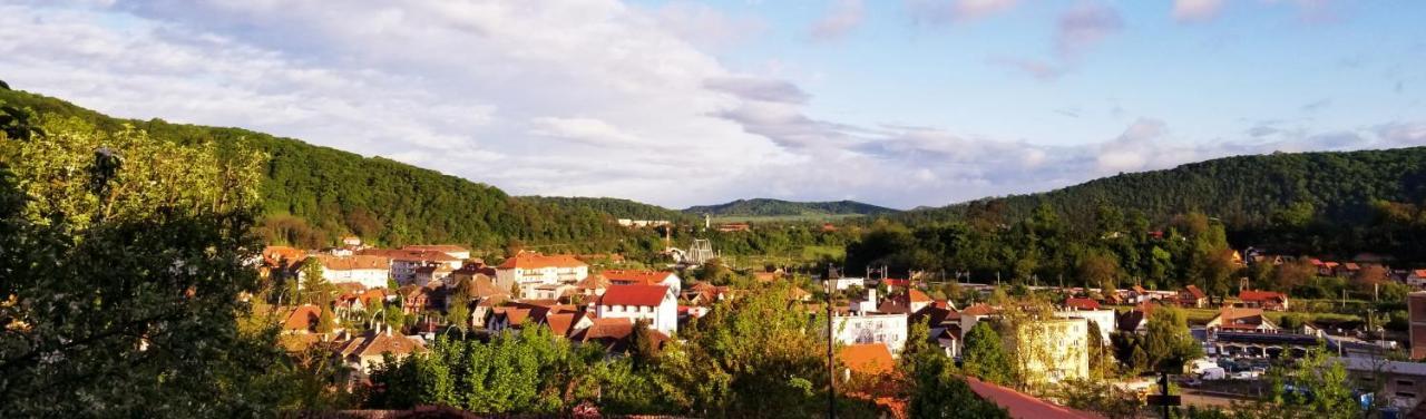 Pensiunea Lelila Inn Segesvár Kültér fotó