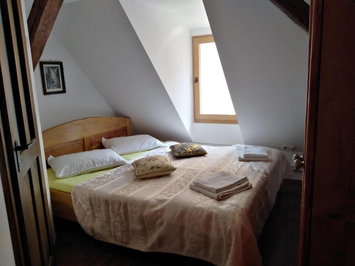 Pensiunea Lelila Inn Segesvár Kültér fotó