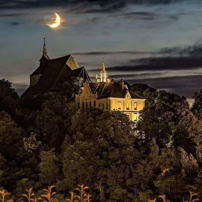 Pensiunea Lelila Inn Segesvár Kültér fotó
