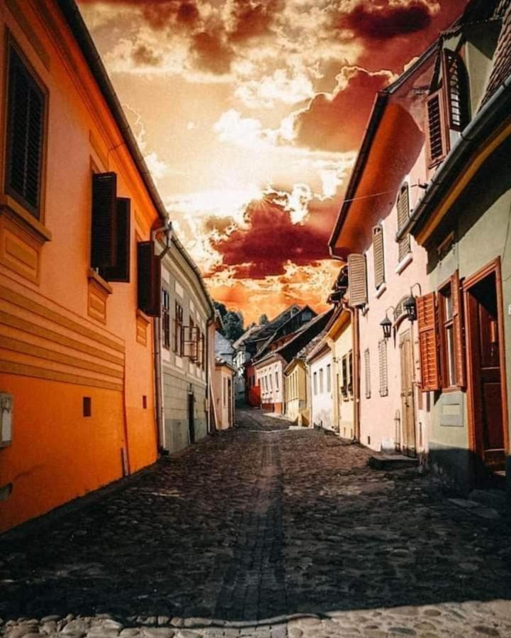 Pensiunea Lelila Inn Segesvár Kültér fotó