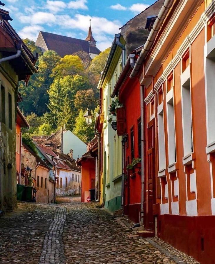 Pensiunea Lelila Inn Segesvár Kültér fotó