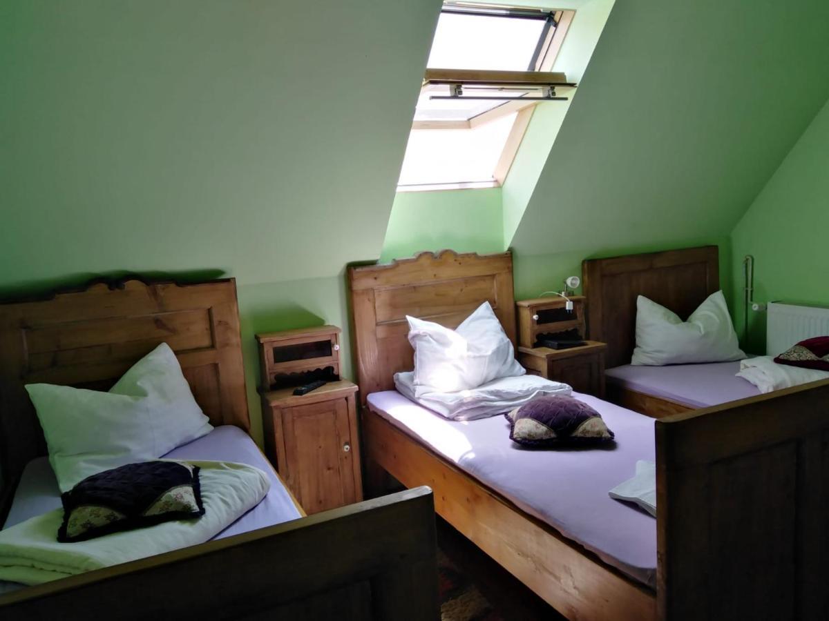 Pensiunea Lelila Inn Segesvár Kültér fotó