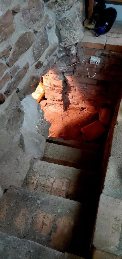 Pensiunea Lelila Inn Segesvár Kültér fotó
