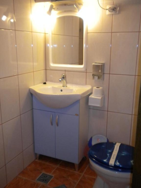 Pensiunea Lelila Inn Segesvár Kültér fotó