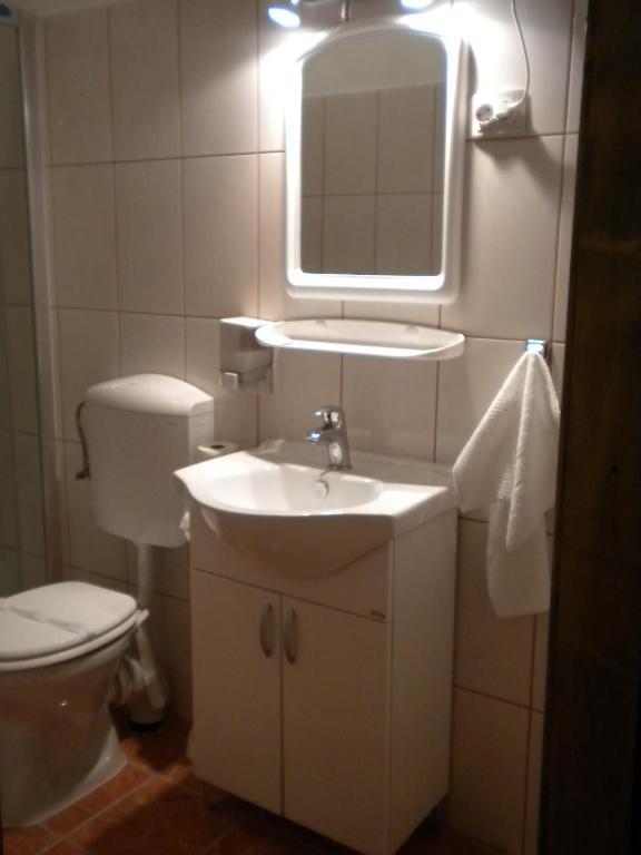 Pensiunea Lelila Inn Segesvár Kültér fotó